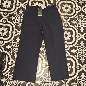 HALARA Deep Blue Buttoned Wide Pants Petite